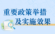 重要政策舉措及實施效果
